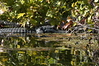 Mathewsbros > Wekiva Springs photo