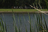 Mathewsbros > PT is good for you, good for me photo